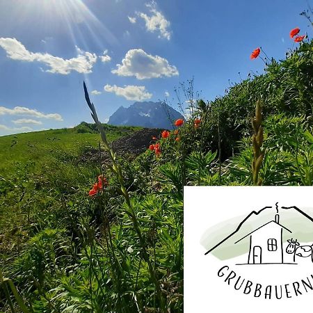 Appartement Grubbauernhof à Aigen im Ennstal Extérieur photo