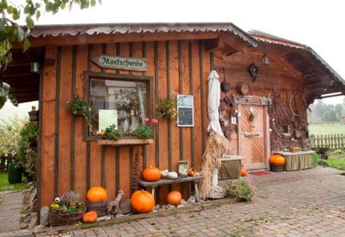 Appartement Grubbauernhof à Aigen im Ennstal Extérieur photo