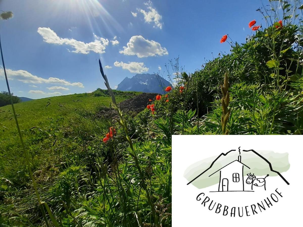 Appartement Grubbauernhof à Aigen im Ennstal Extérieur photo