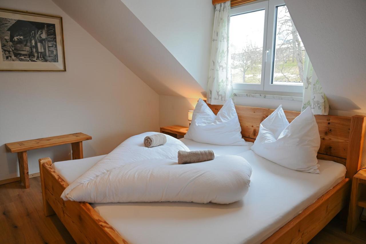 Appartement Grubbauernhof à Aigen im Ennstal Extérieur photo
